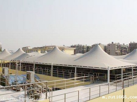 山东污水池膜结构厂家